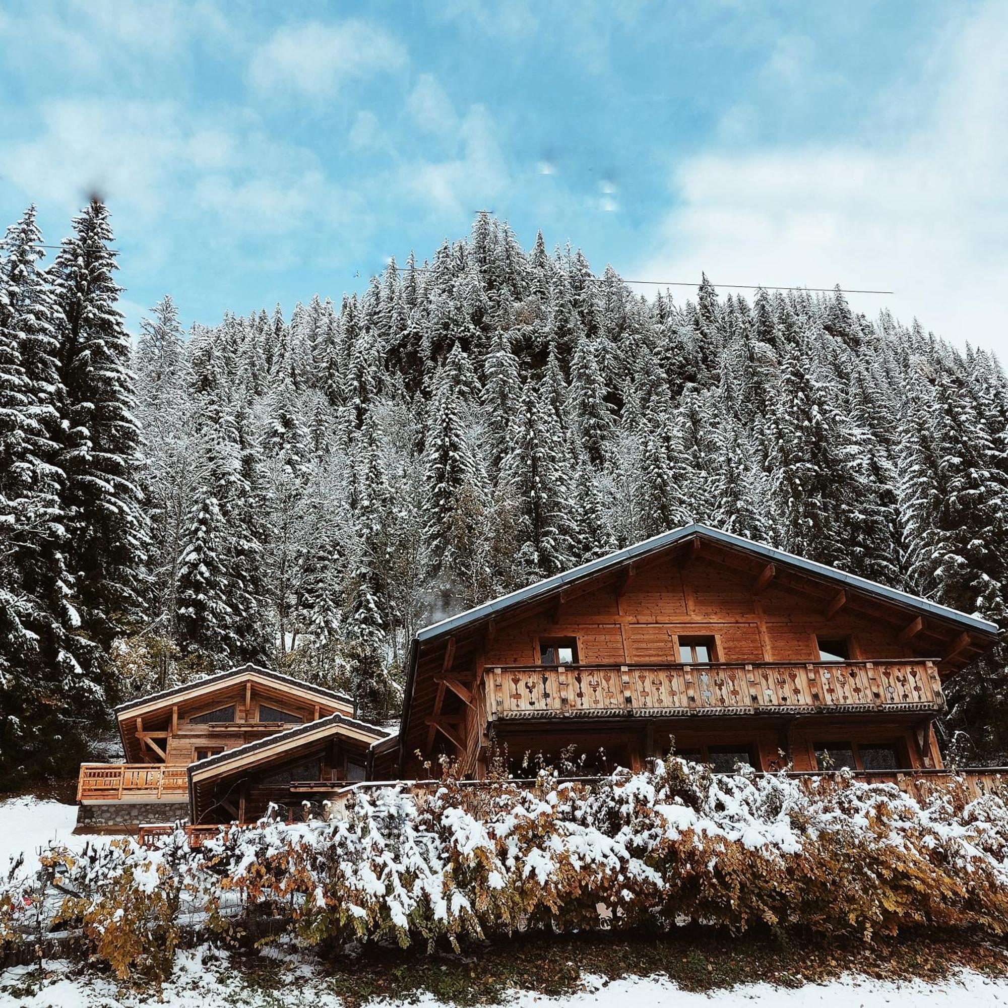 Savoya Lodges Châtel Εξωτερικό φωτογραφία