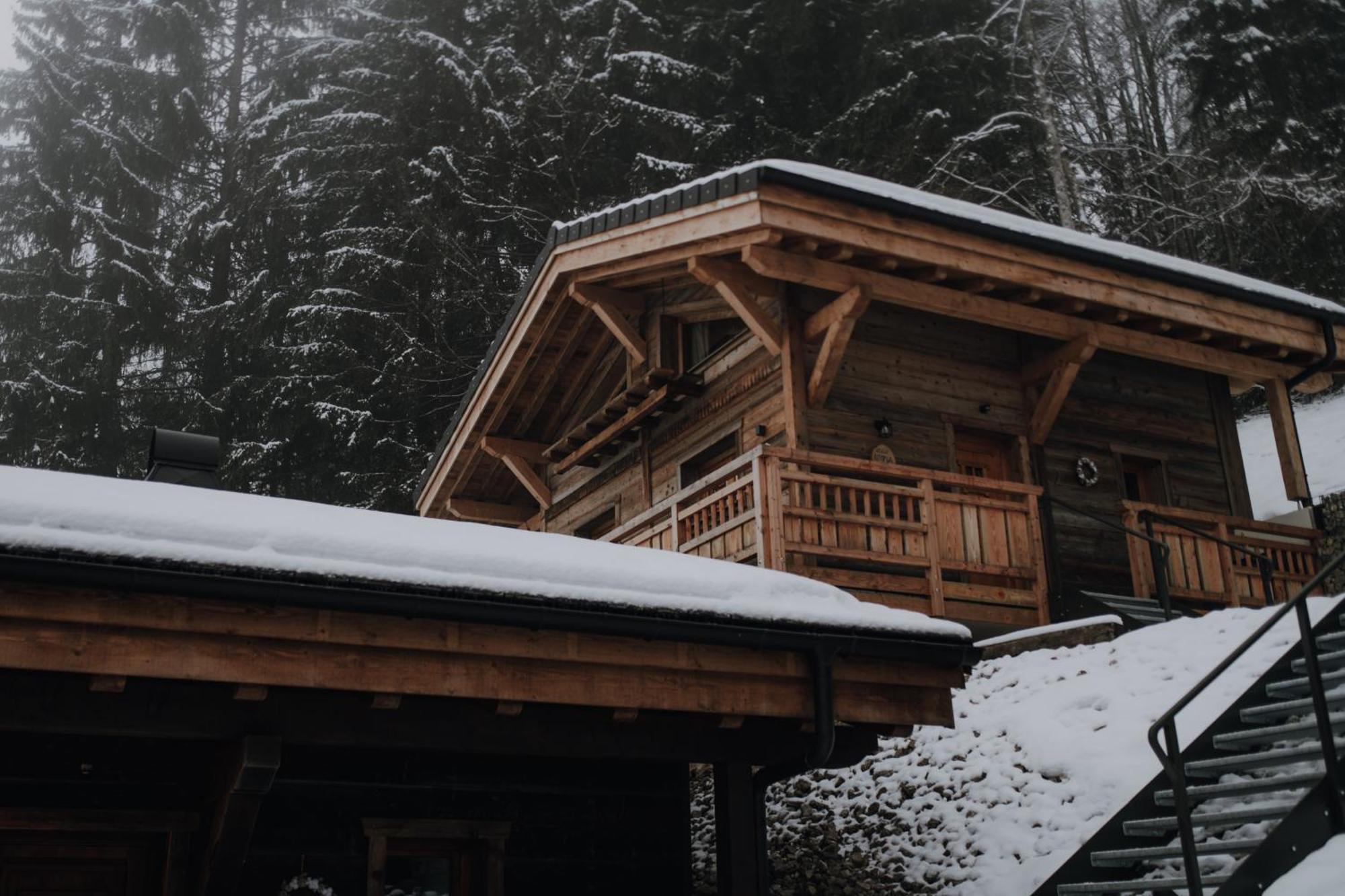 Savoya Lodges Châtel Εξωτερικό φωτογραφία