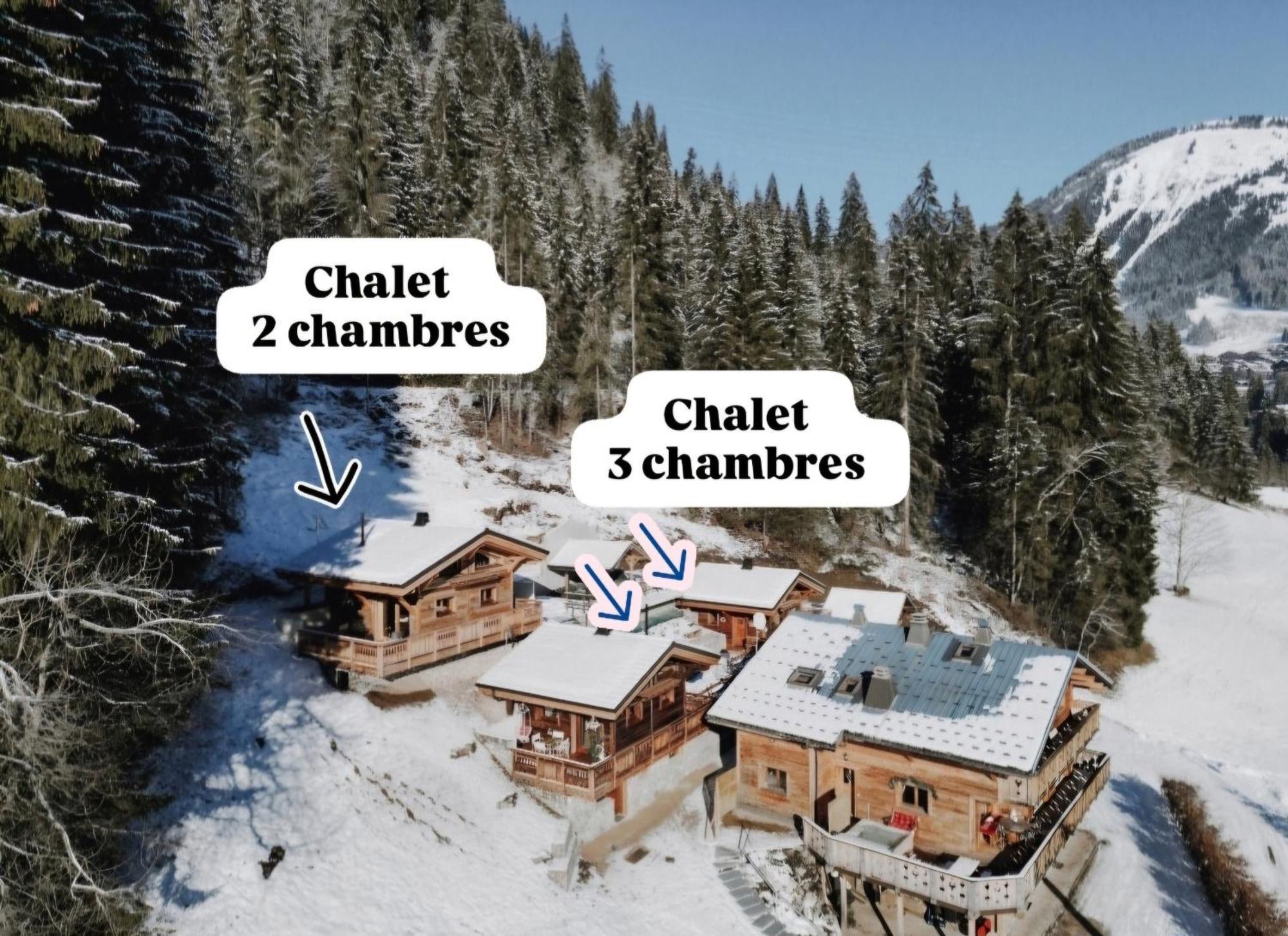 Savoya Lodges Châtel Εξωτερικό φωτογραφία